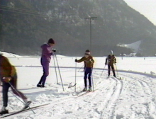 Skilanglauf: Duch richtige Technik Sportverletzungen vermeiden